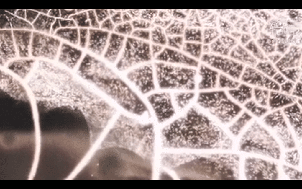 Covid injekce pod mikroskopem - neznámé částečky v krvi očkovaných • David Formánek - Otevři svou mysl • David Formánek