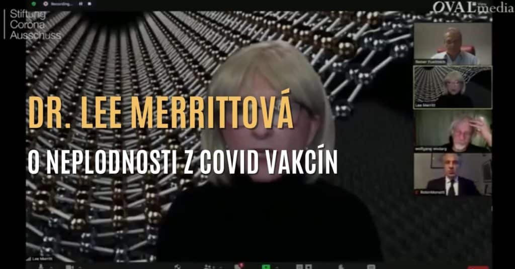 Úvod • David Formánek - Otevři svou mysl • David Formánek