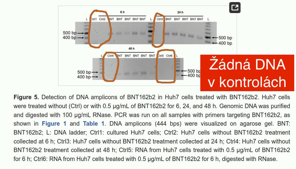 Nejhorší obavy se naplnily: Pfizer mRNA se přepisuje do DNA • David Formánek - Otevři svou mysl • David Formánek