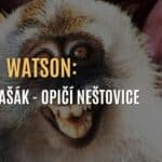 Paul J. Watson: Nový strašák - Opičí neštovice 🙉
