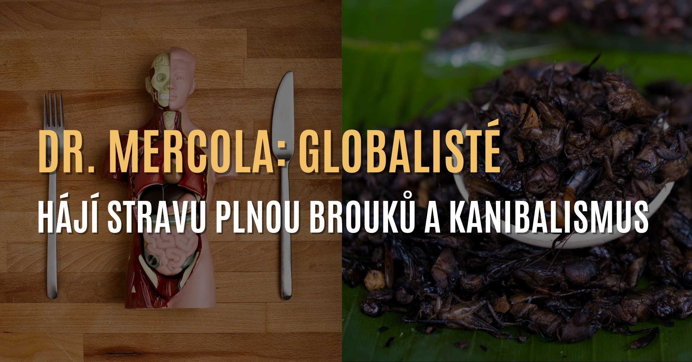Dr. Mercola: Globalistická elita podporuje stravu plnou brouků – a kanibalismus