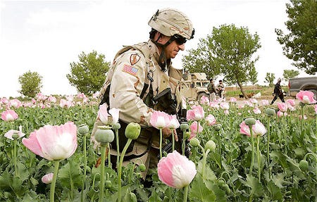 A soldier in a field of flowers

Description automatically generated