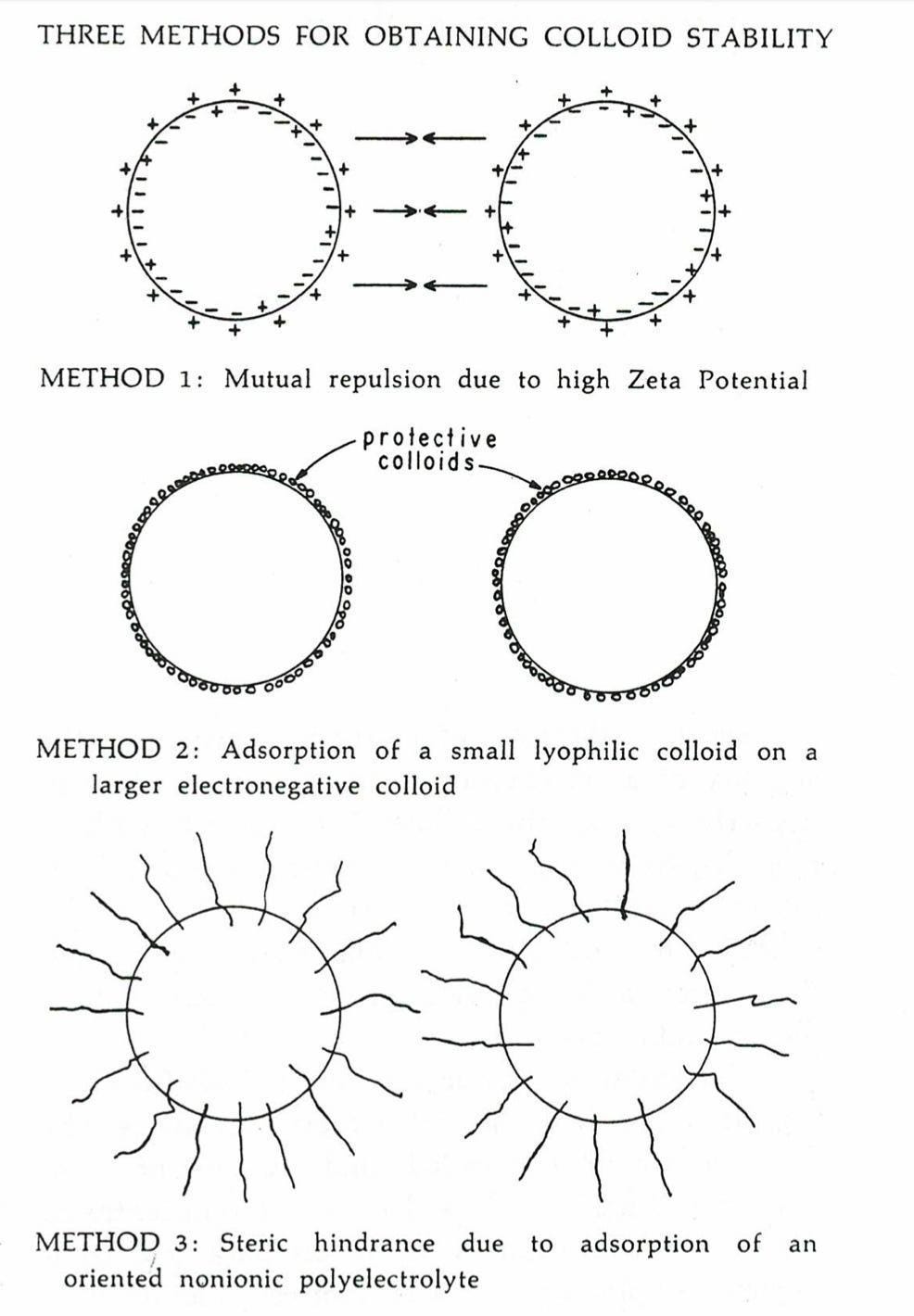 A diagram of a diagram of a cell

Description automatically generated