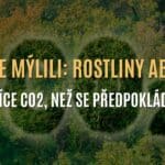 Vědci se mýlili – rostliny absorbují o 31 % více CO2