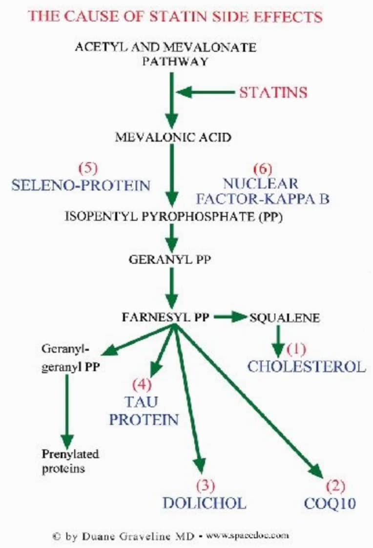 A diagram of a protein structure

Description automatically generated